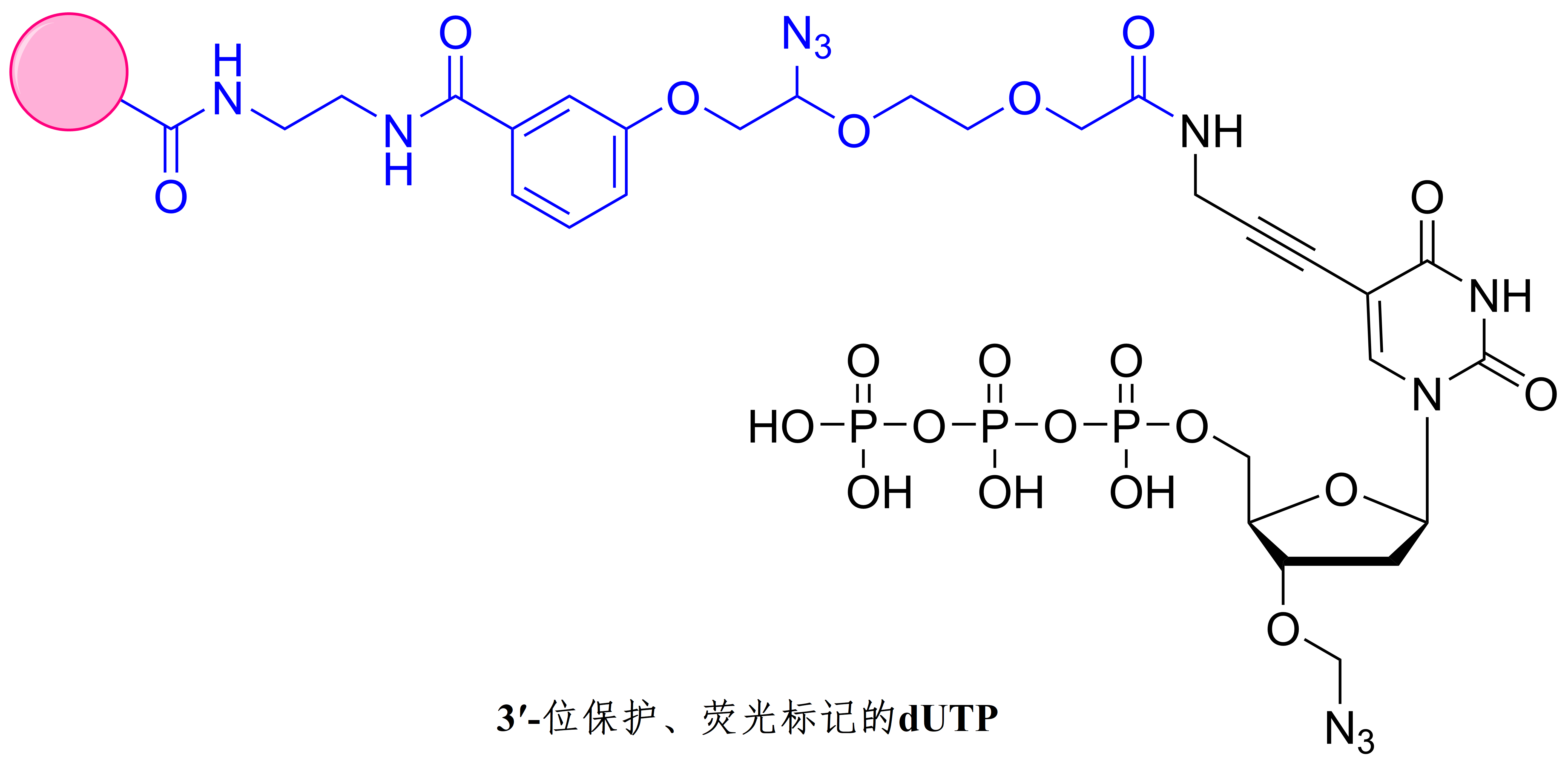 3ʹ-位保护、荧光标记的dUTP.png